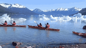 Kayak - Transfer: traslado puntual al punto de partida del kayak en el Glaciar Perito Moreno